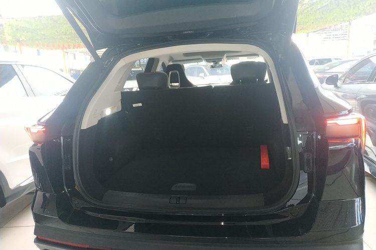 Dashing 2025 car image #19