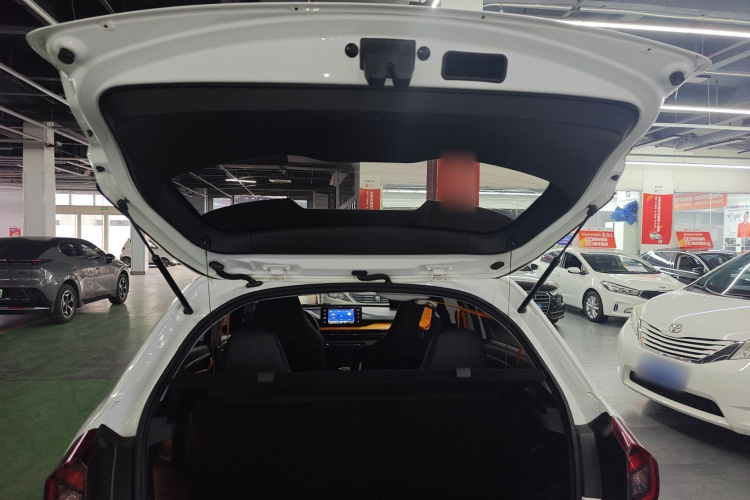 睿蓝汽车 睿蓝汽车X3 PRO 2023 汽车图片 #19