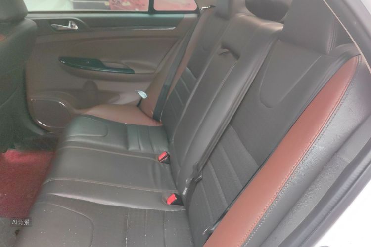 BYD SuRui 2016 car image #19