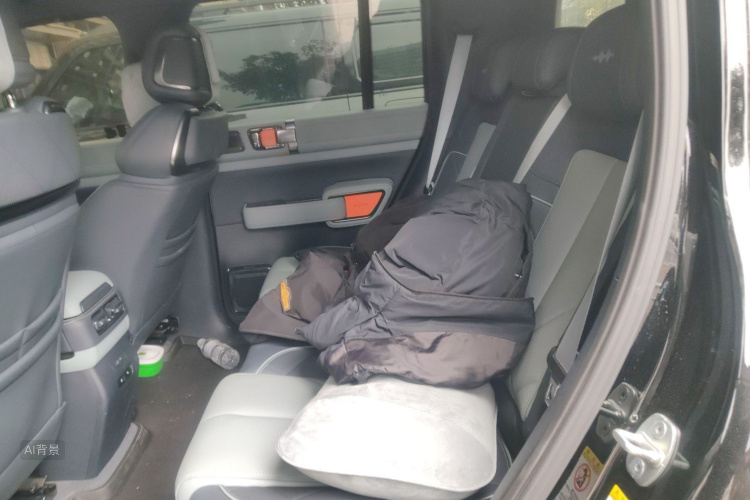 FangChengBao Leopard 5 2025 car image #19