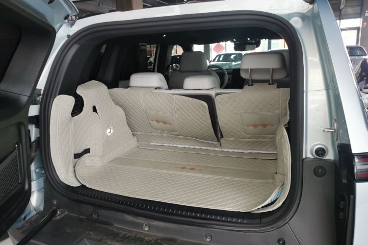 FangChengBao Tiger 3 2025 car image #19