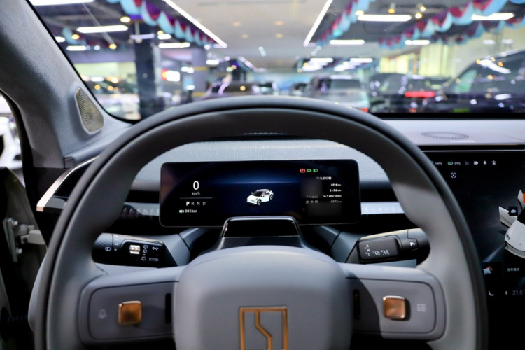 Zeekr X 2024 immagine di auto #19