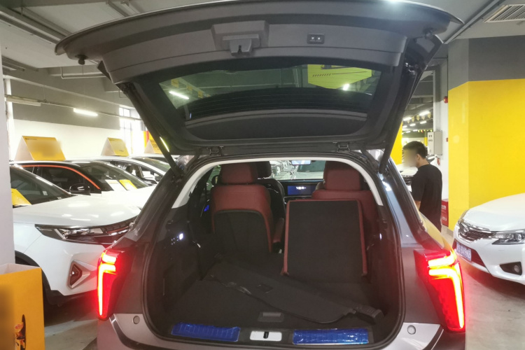 HongQi E-HS9 2023 car image #19