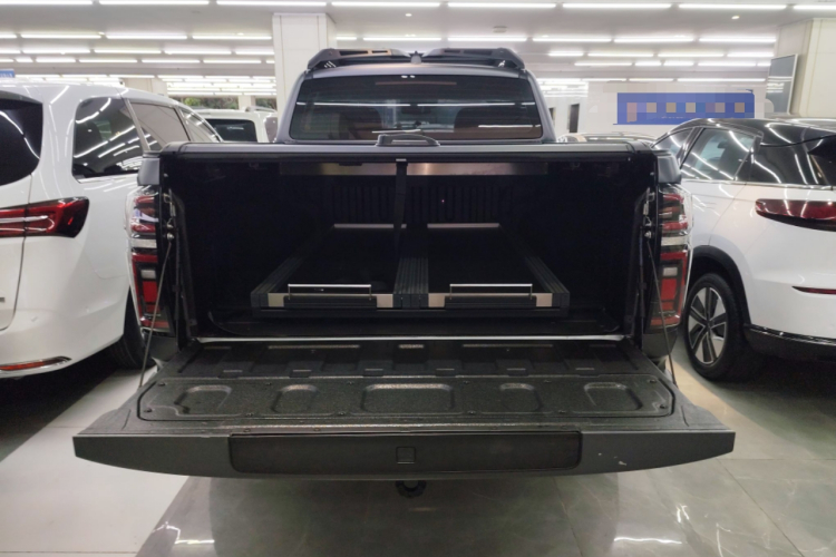 Great Wall Poer 2023 car image #19