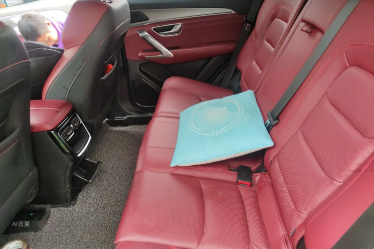 X70 PLUS 2022 car image #19