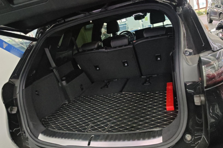 Denza X 2020 изображение автомобиля #19