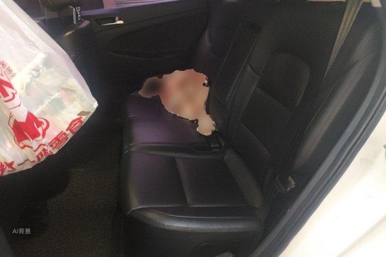 Hyundai Tucson 2015 car image #19