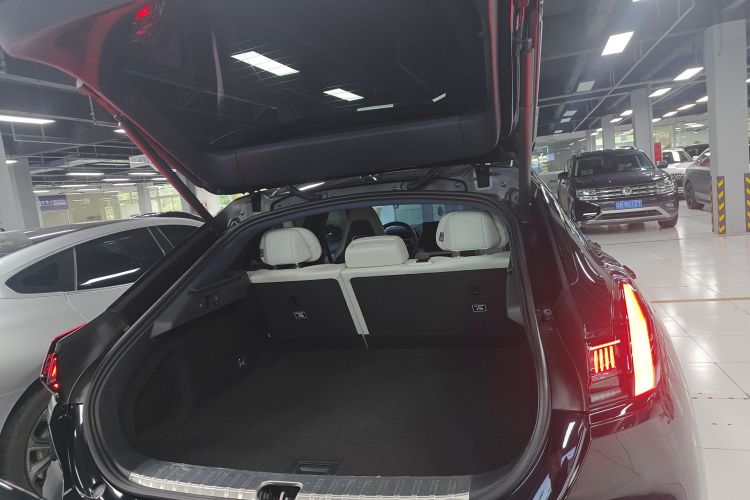 极氪 极氪001 2024 汽车图片 #19