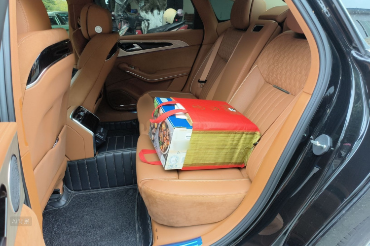 HongQi H9 2022 car image #19