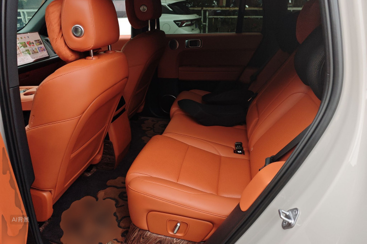 Li L6 2024 صورة سيارة #19