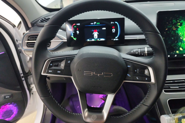 BYD Destroyer 05 2024 imagen de coche #19