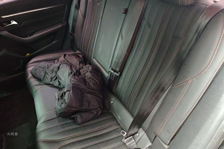 标致 标致508 2021 汽车图片 #19