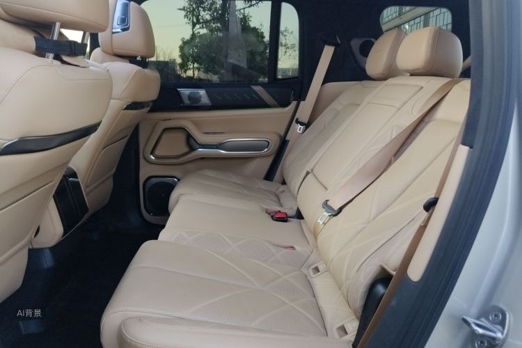 FangChengBao Leopard 8 2024 immagine di auto #19