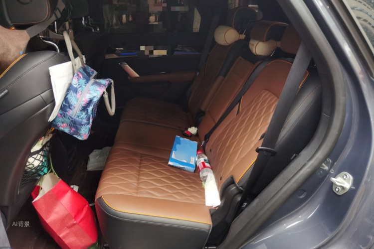 BYD Tang New Energy 2021 image de voiture #19