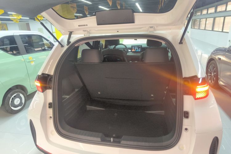 BYD D1 2023 imagen de coche #19