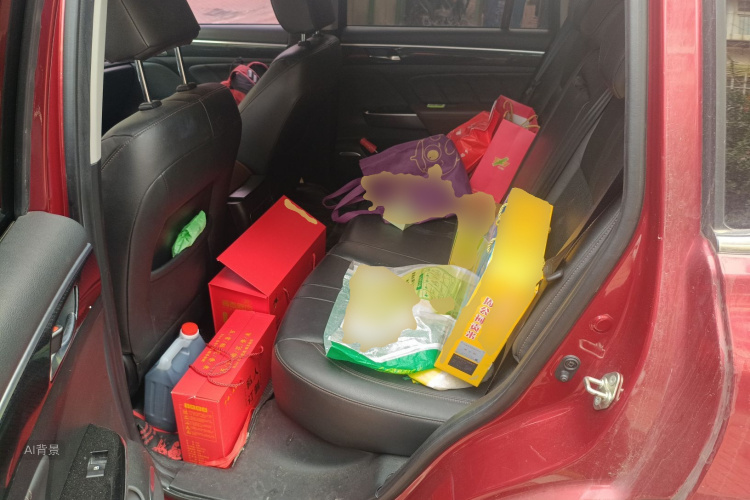 GAC Trumpchi GS7 2017 car image #19