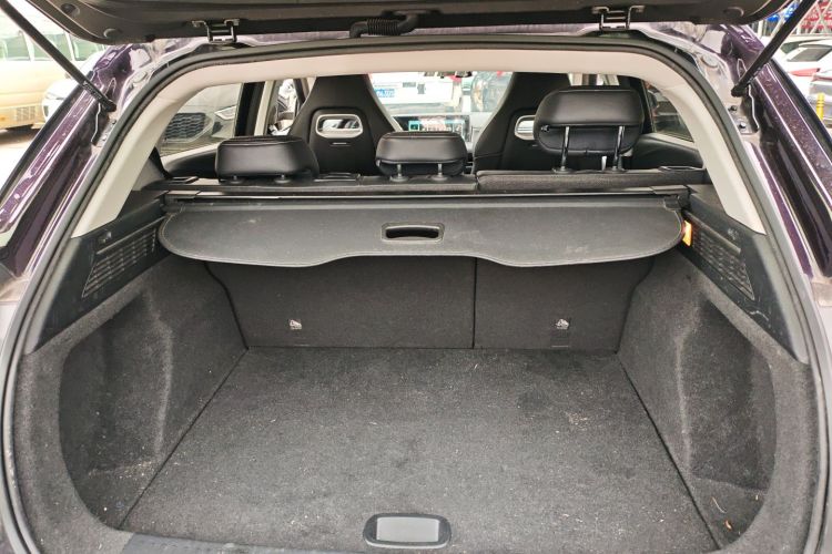 Neta U 2021 image de voiture #19