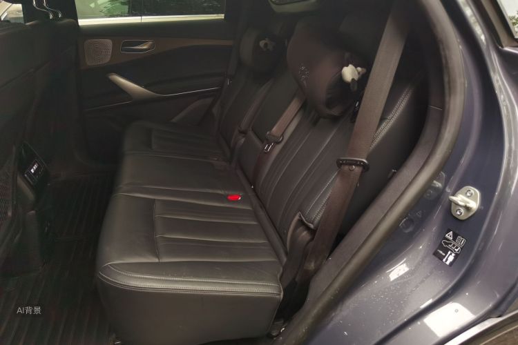 Denza X 2021 immagine di auto #19