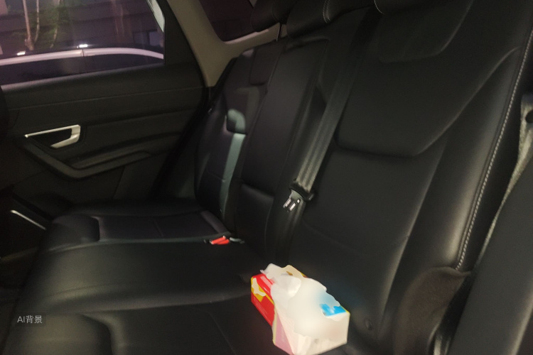 BYD Song Pro 2019 car image #19