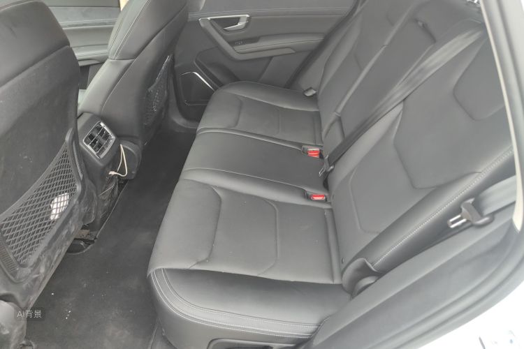 BYD Song Pro New Energy 2020 imagen de coche #19