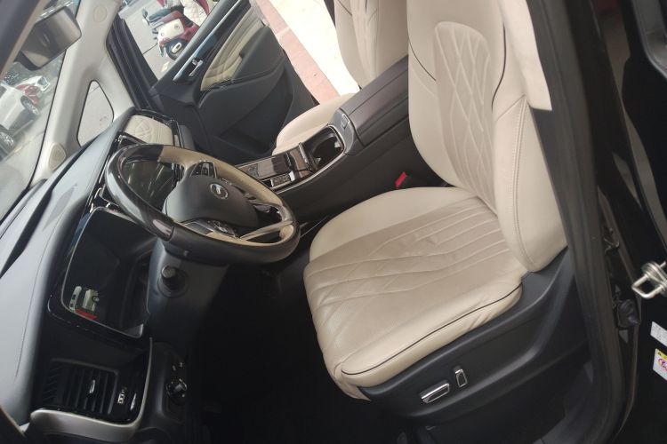 GAC Trumpchi M8 2021 car image #19