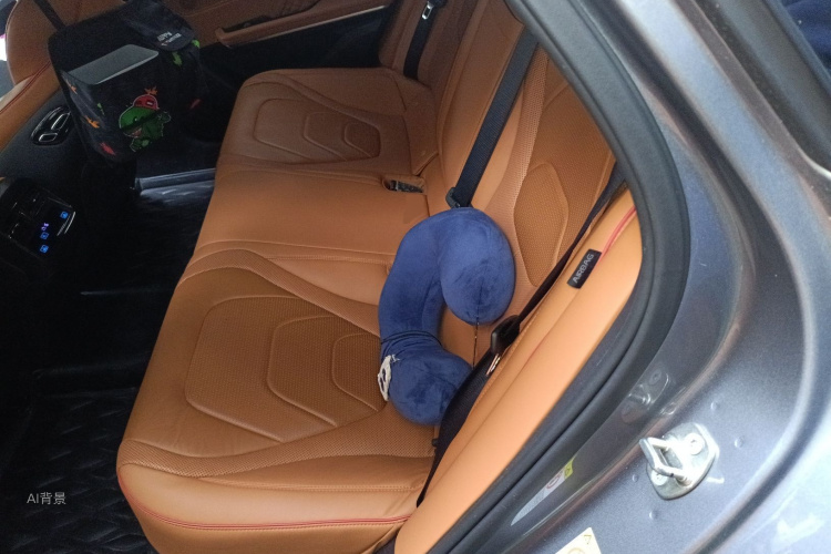 BYD Han 2022 car image #19
