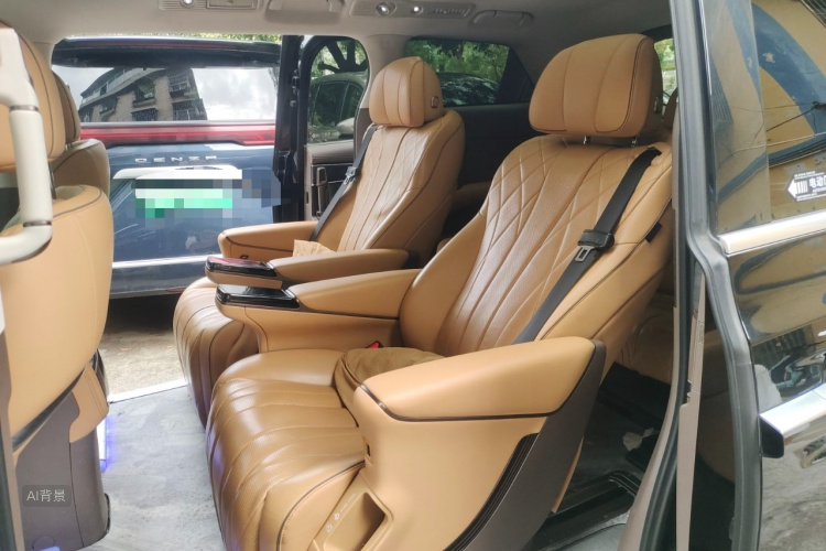 Denza D9 2023 imagem de carro #19