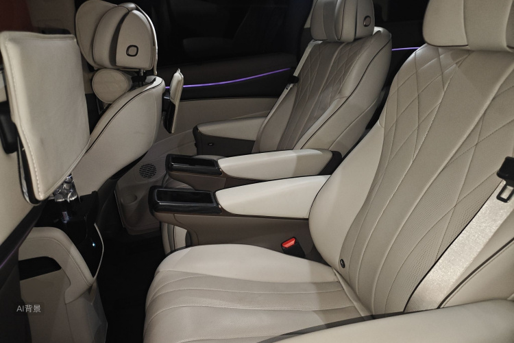 Denza D9 2023 imagen de coche #19