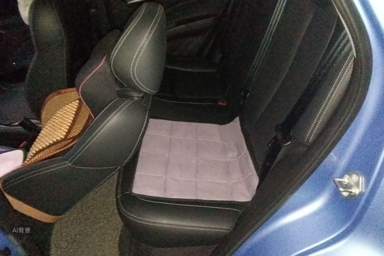 Neta V 2022 صورة سيارة #19