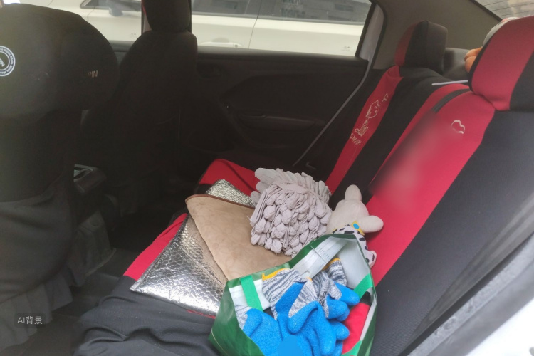 Citroen C-Elysée 2018 immagine di auto #19