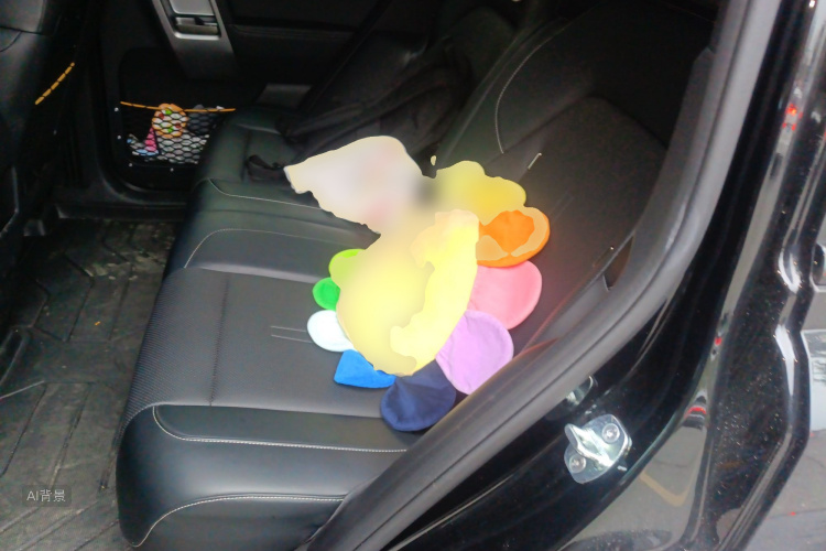 2025 car image #19