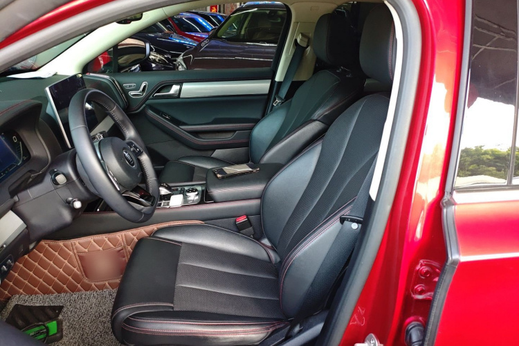 BYD Tang New Energy 2019 car image #19