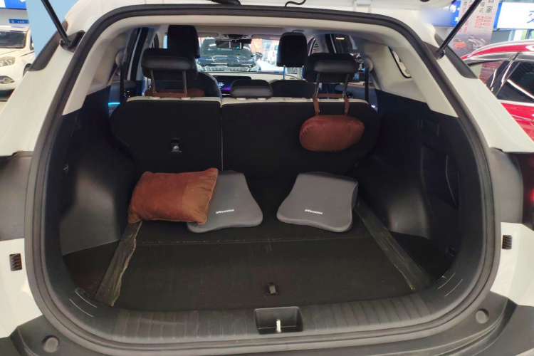 起亚 狮铂拓界 2024 汽车图片 #19