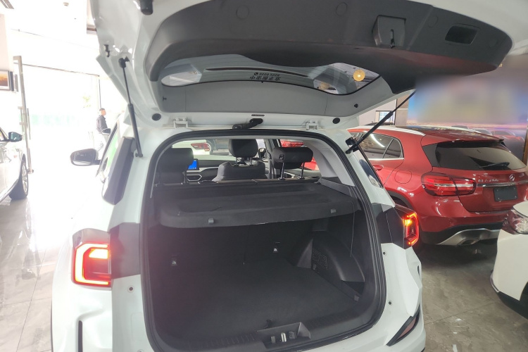 Showjet Pro 2021 car image #19