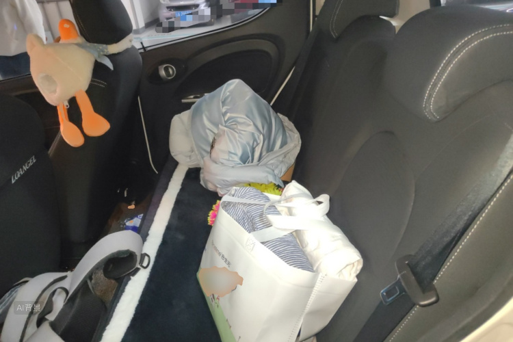 Changan BenBen MINI 2016 imagem de carro #19