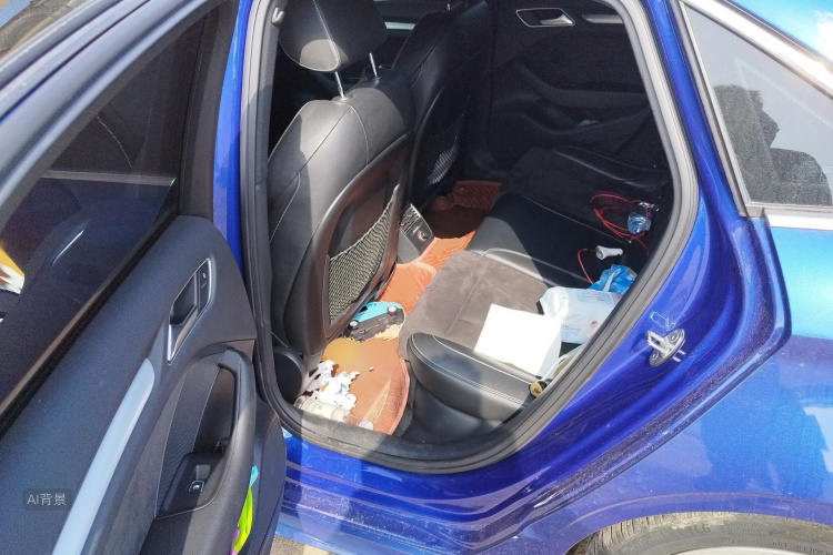 奥迪 奥迪S3 2017 汽车图片 #19