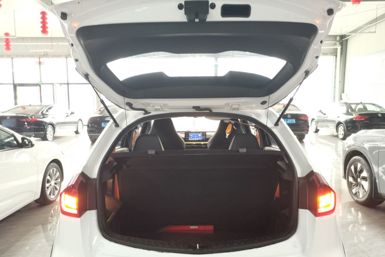 X3 PRO 2023 car image #19