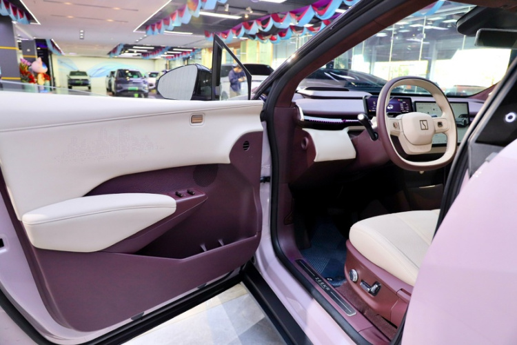 极氪 极氪X 2024 汽车图片 #19