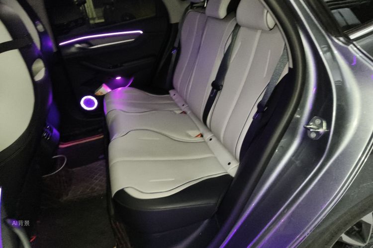 BYD Destroyer 05 2023 car image #19