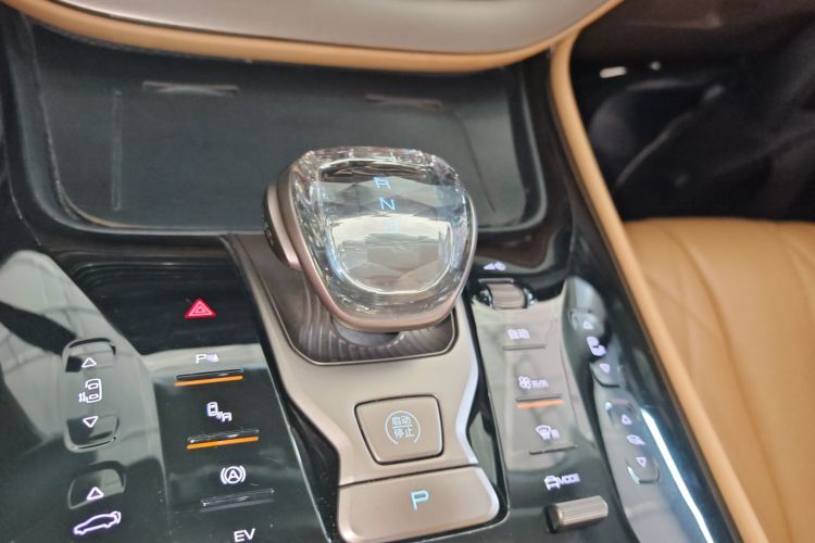 Denza D9 2023 imagem de carro #19