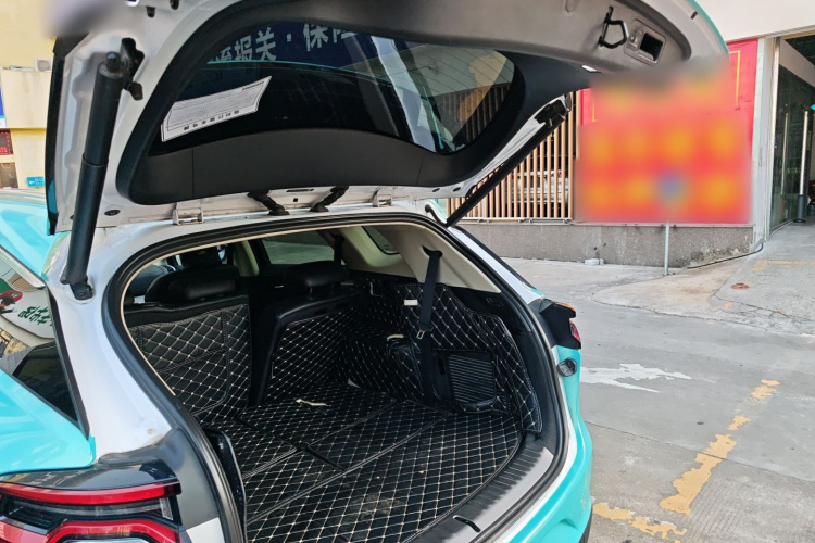 BYD Tang New Energy 2019 car image #19