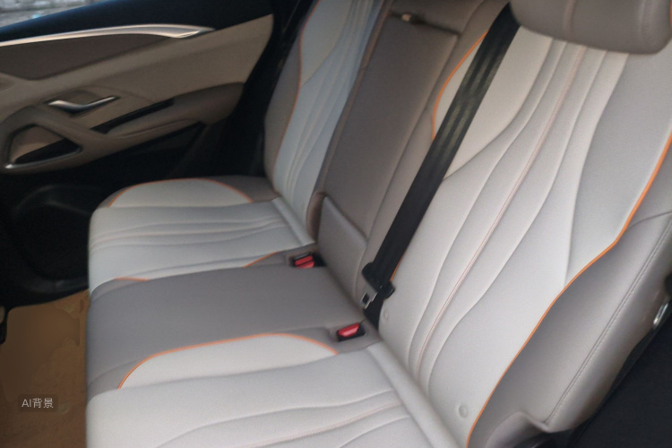 BYD Song Pro New Energy 2024 car image #19