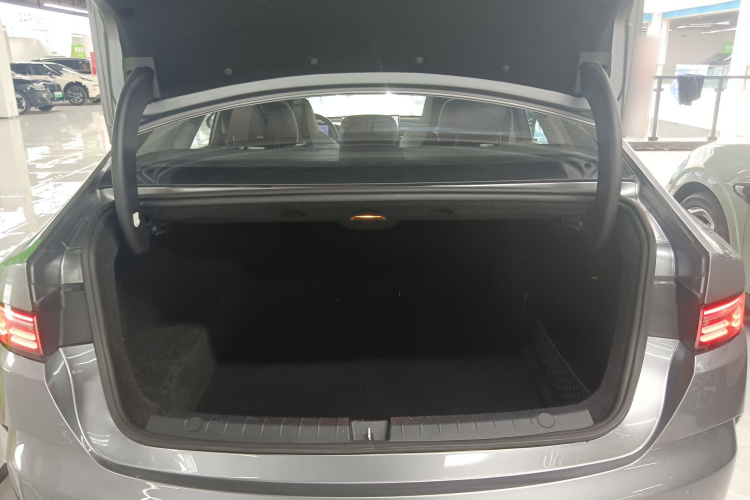 BYD Destroyer 05 2022 imagen de coche #19