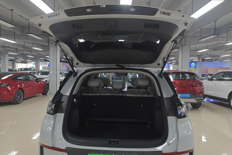 BYD Sea Lion 05 EV 2025 car image #19