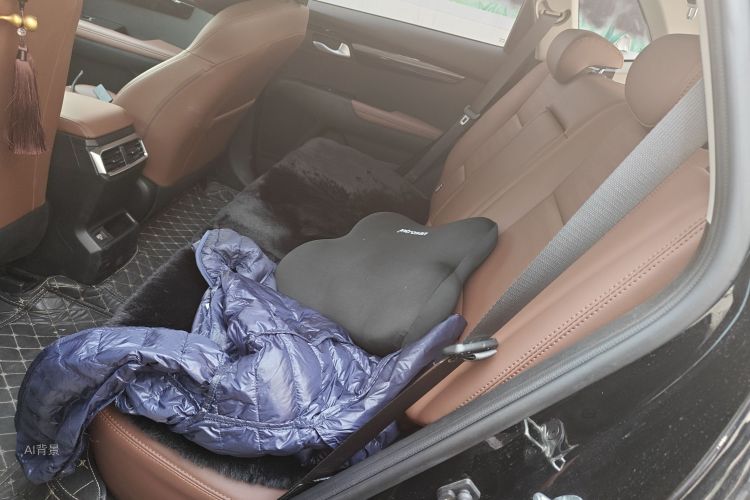 起亚 智跑 2022 汽车图片 #19