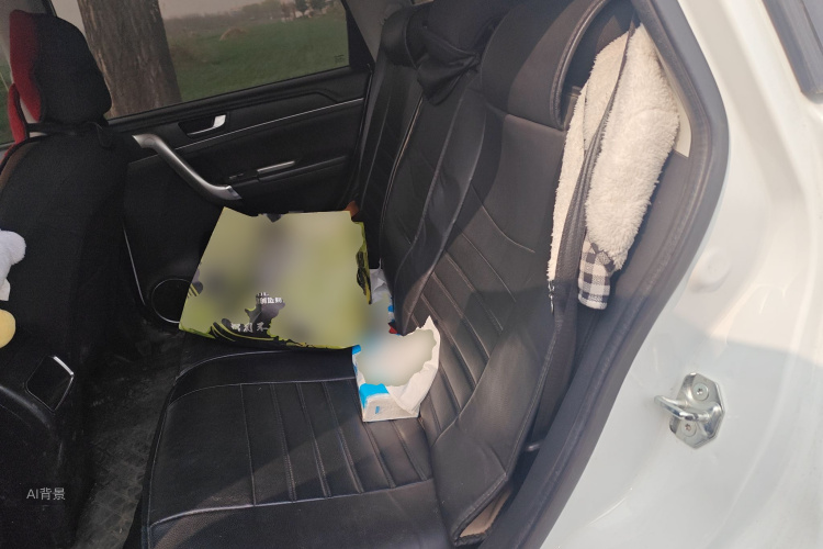 Haval M6 2019 #19 Haval M6 2019 car image #19