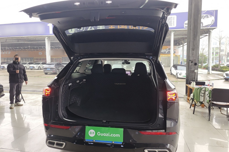 Volkswagen Tavendor 2023 car image #19