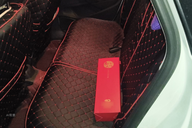 Polo 2016 car image #19