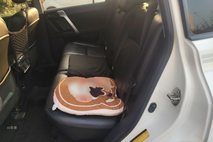 Toyota Land Cruiser Prado 2017 car image #19