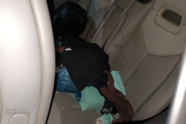 标致 标致308(进口) 2012 汽车图片 #19